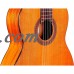Cordoba Dolce 7/8 Size Nylon String Classical Acoustic Guitar   